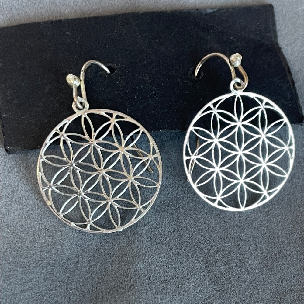 Elegant Silver Tone Geometric Earrings